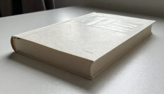 数字化系统开发中的适用边界问题与处理方向